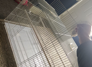 Breeding cage