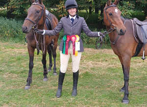 Riding lessons/Hacks available