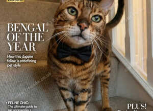Supermodel seeking retirement home