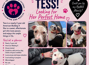 Could Tess be the missing piece of your family?