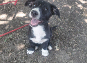 INNA - OUR BEAUTIFUL BLACK-AND-WHITE GIRL WITH A SMILE THAT LIGHTS UP THE WORLD!