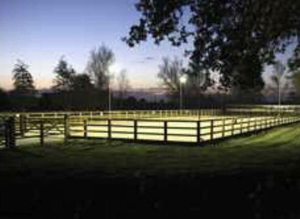 DIY Livery Stables