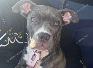 Narla
