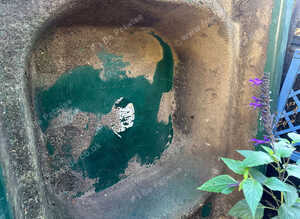 Fish pond for sale