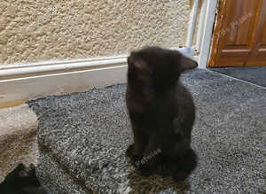 For sale