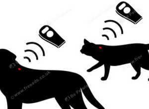 Microchipping &pound;10