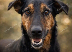 ️ MEET CRISTI THE BOY WHO FOUGHT HIS WAY OUT OF A SACK AND CHOSE TO LOVE ️