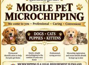 Mobile microchip implanter