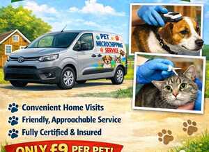 Pet microchipping in your own home