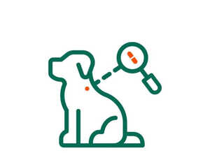 Lincolnshire pet microchipping