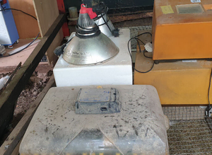 Bird incubators