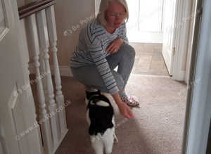 Cat Behaviourist