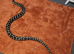 Adult Female jungle carpet python