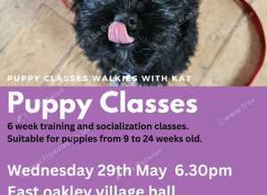 Puppy classes