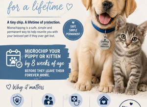 Canine fertility services micro chipping service