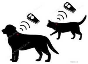 Pet Microchipping