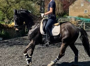 DIY/ ASSISTED/ FULL/ SCHOOLING LIVERY
