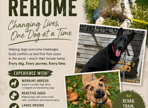 Rehab and rehome