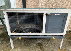 Guinea pig hutch