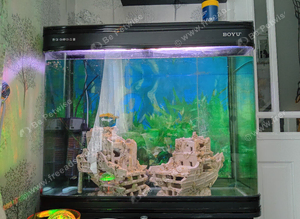 Fish tank