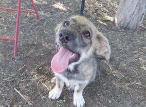 HANNAH - A BEAUTIFUL, HAPPY GIRL WITH THE MOST SOULFUL EYES