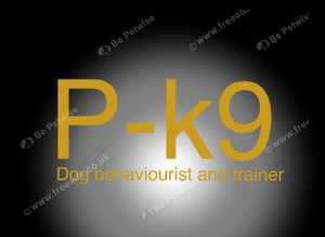 P-k9 dog trainer