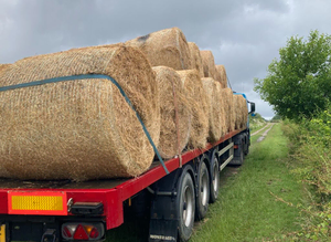 Hay - large bales