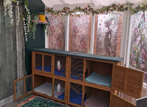 Small animal boarding services