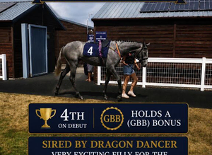 (GBB) Racehorse Shares
