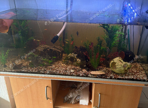 Fish tank, large. Everything included.