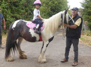 Sweet Natured Cob mare