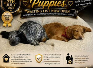 Waiting list open