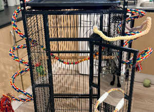 Bird cage
