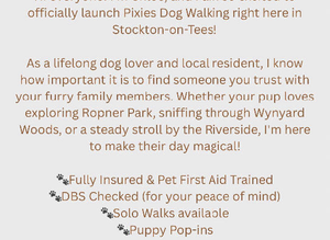 Dog walker
