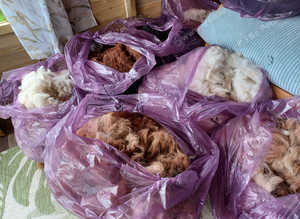 Alpaca fleeces for sale, various colours available
