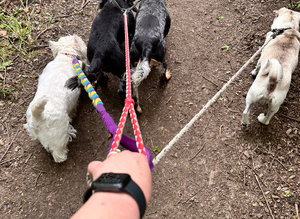 Dog walker