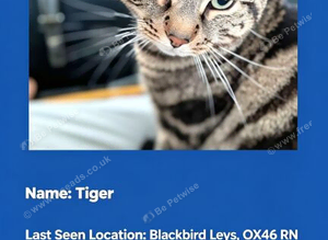 Tiger