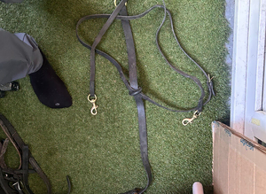 Horse breast plate