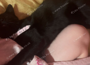 Binx