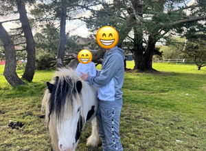 Cob pony