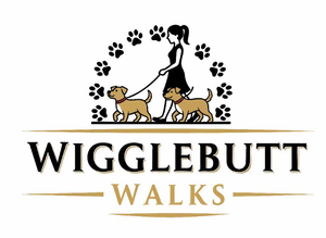 Dog Walking