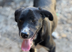 MAYA &ndash; The Little Heart Waiting to Feel Safe