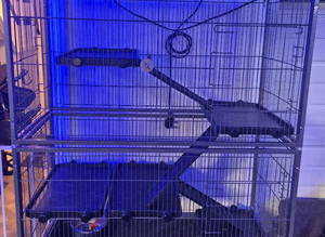 Rodent cage