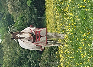 Grazing