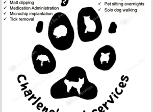 Pet services including microchips
