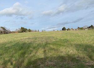 DIY Grazing