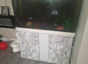 2 axlottil boys