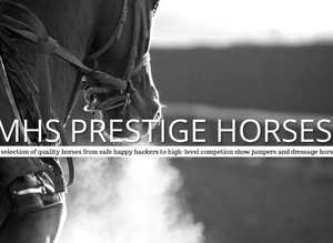 MHS Prestige Horses
