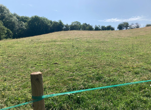 Grass livery available
