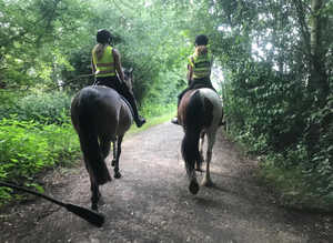 Freelance Groom Services